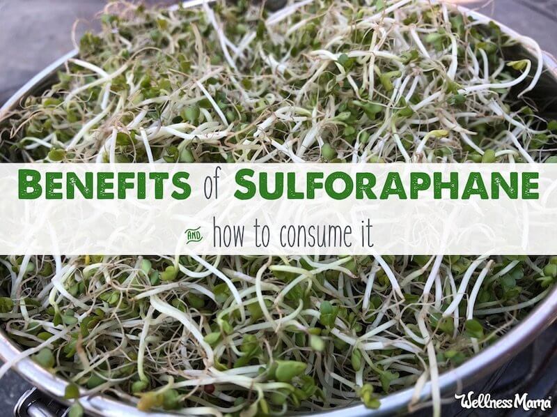 Sulforaphane là thảo dược gì? Công dụng - liều dùng và tác dụng phụ